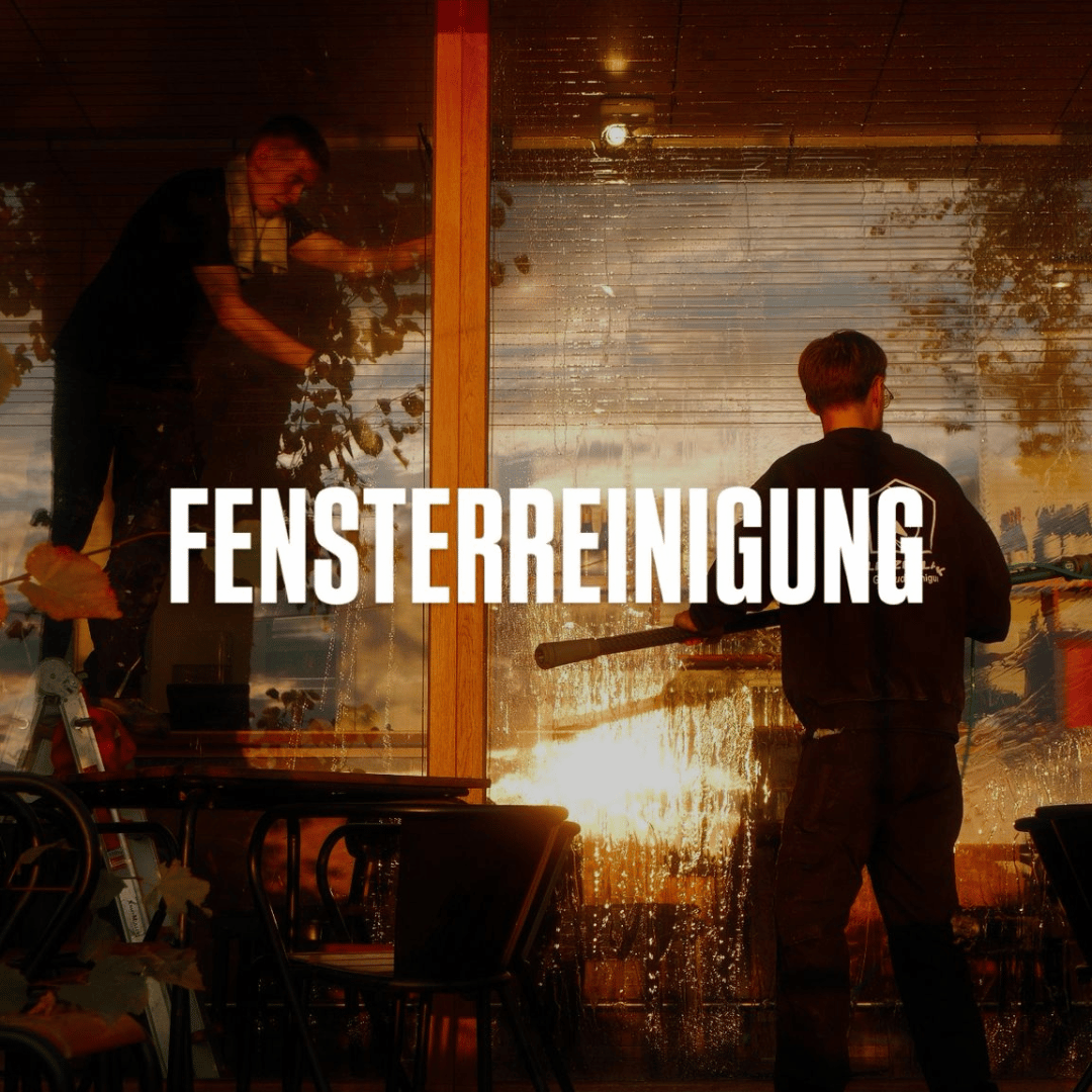 Fensterreinigung