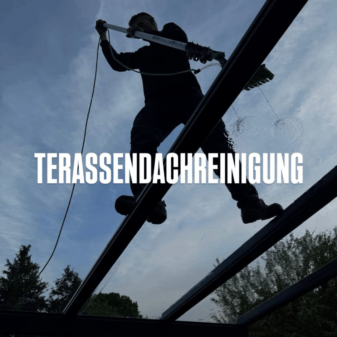Terassendachreinigung
